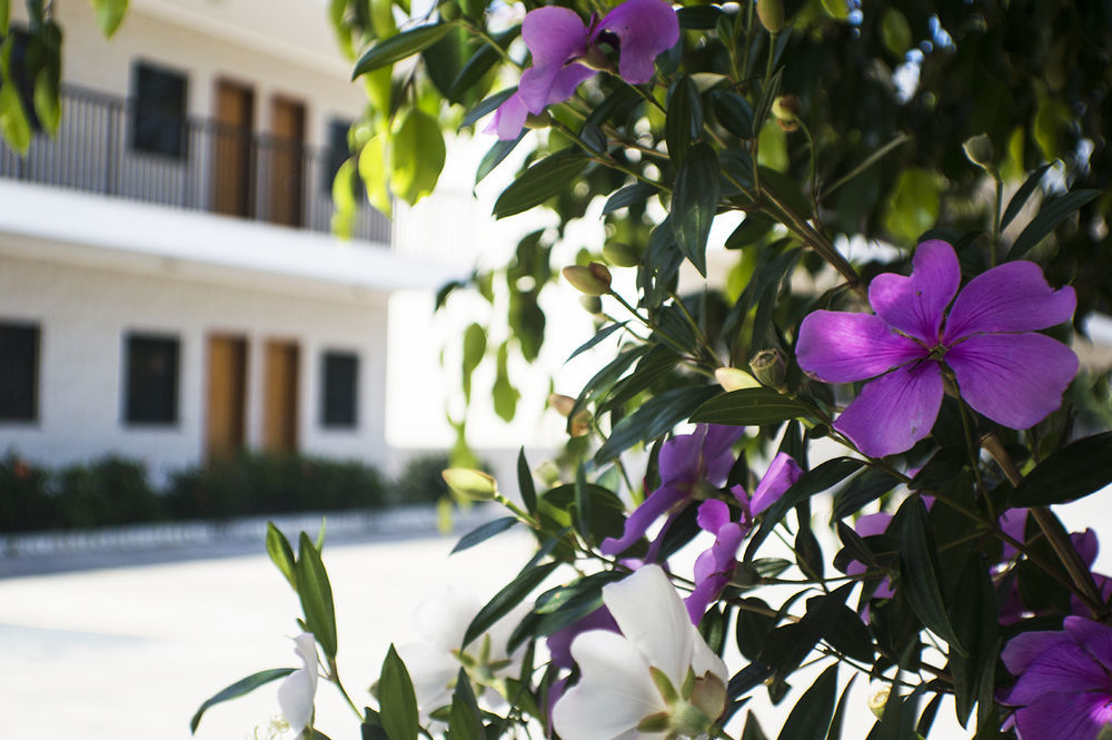 Hotel Villagio D'Italia Vinhedo Exterior foto